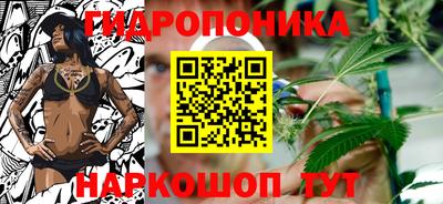 шишки Рыбинск