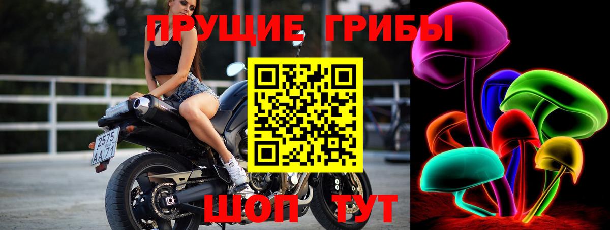 Сергиев Посад  Псилоцибиновые грибы мицелий  Вход с VPN 